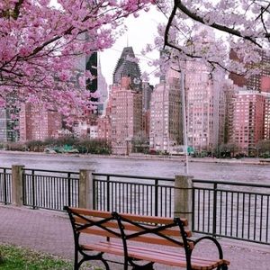 Meet your Posher, Junia